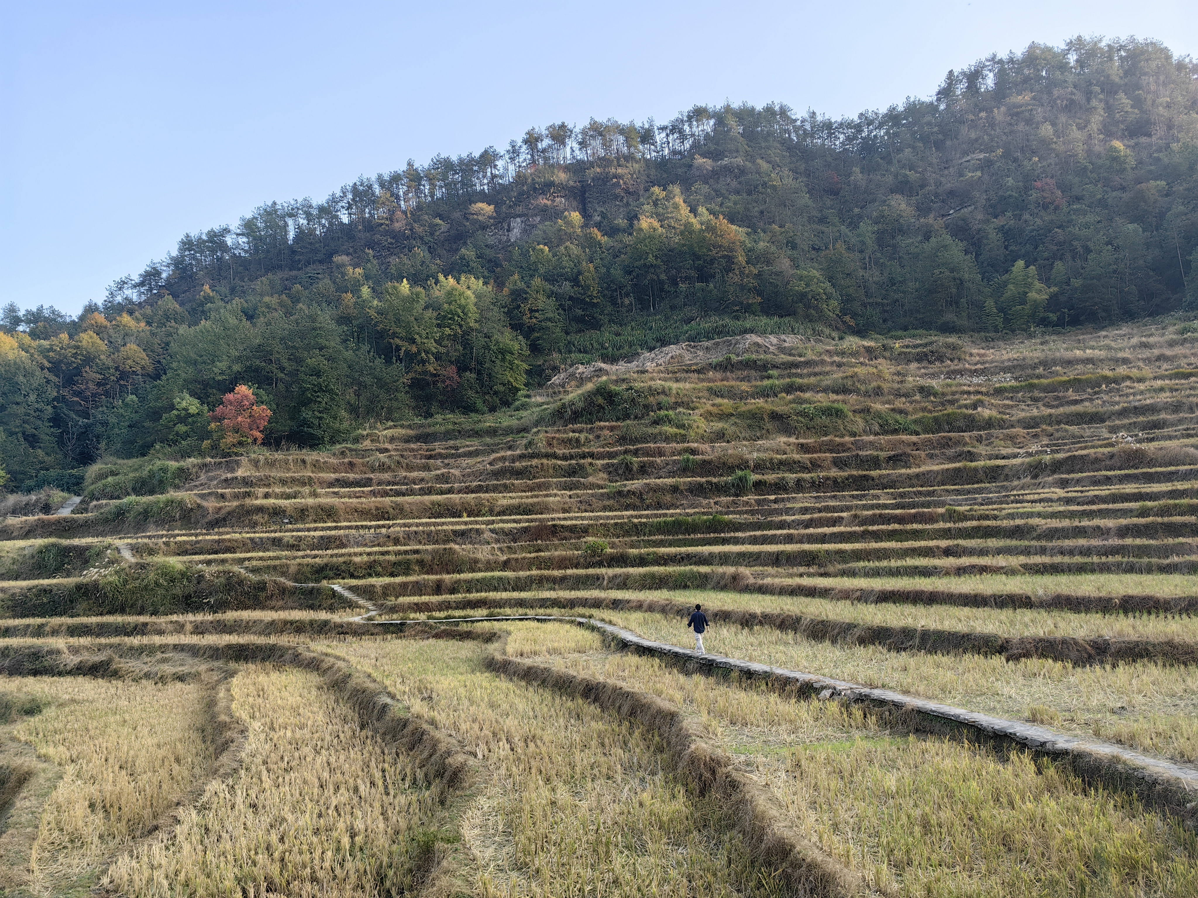 Terraced Fields, Huanggang